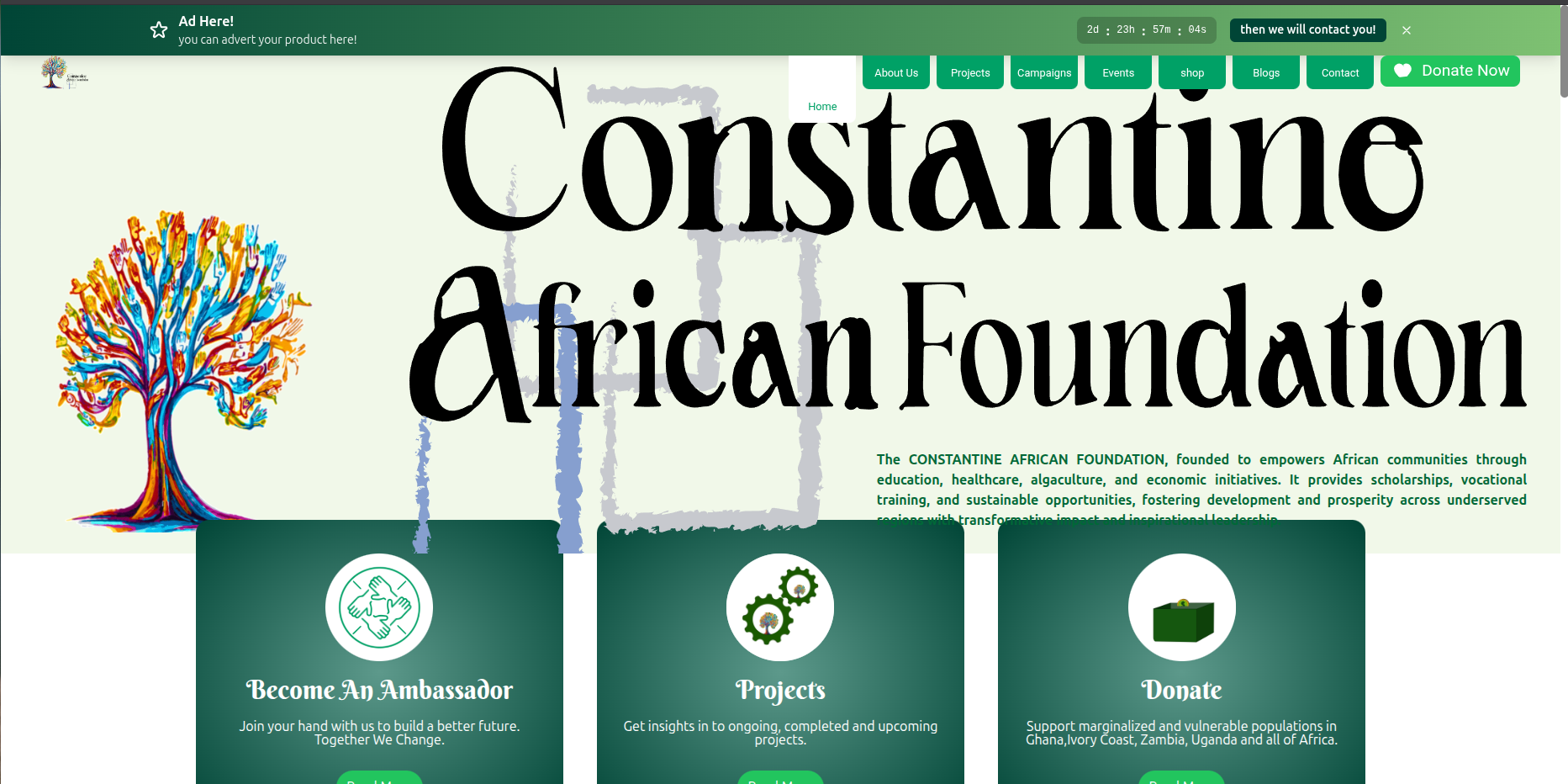 Constantine African Foundation Web Platform