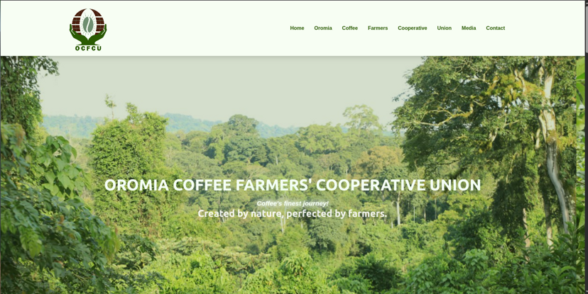 OCFCU Official Website